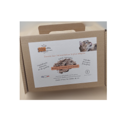 Recette saumon poulet - Chat- furet
